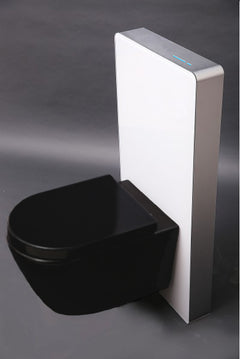 WC komplet pakke 39: WC B-8030R Sort