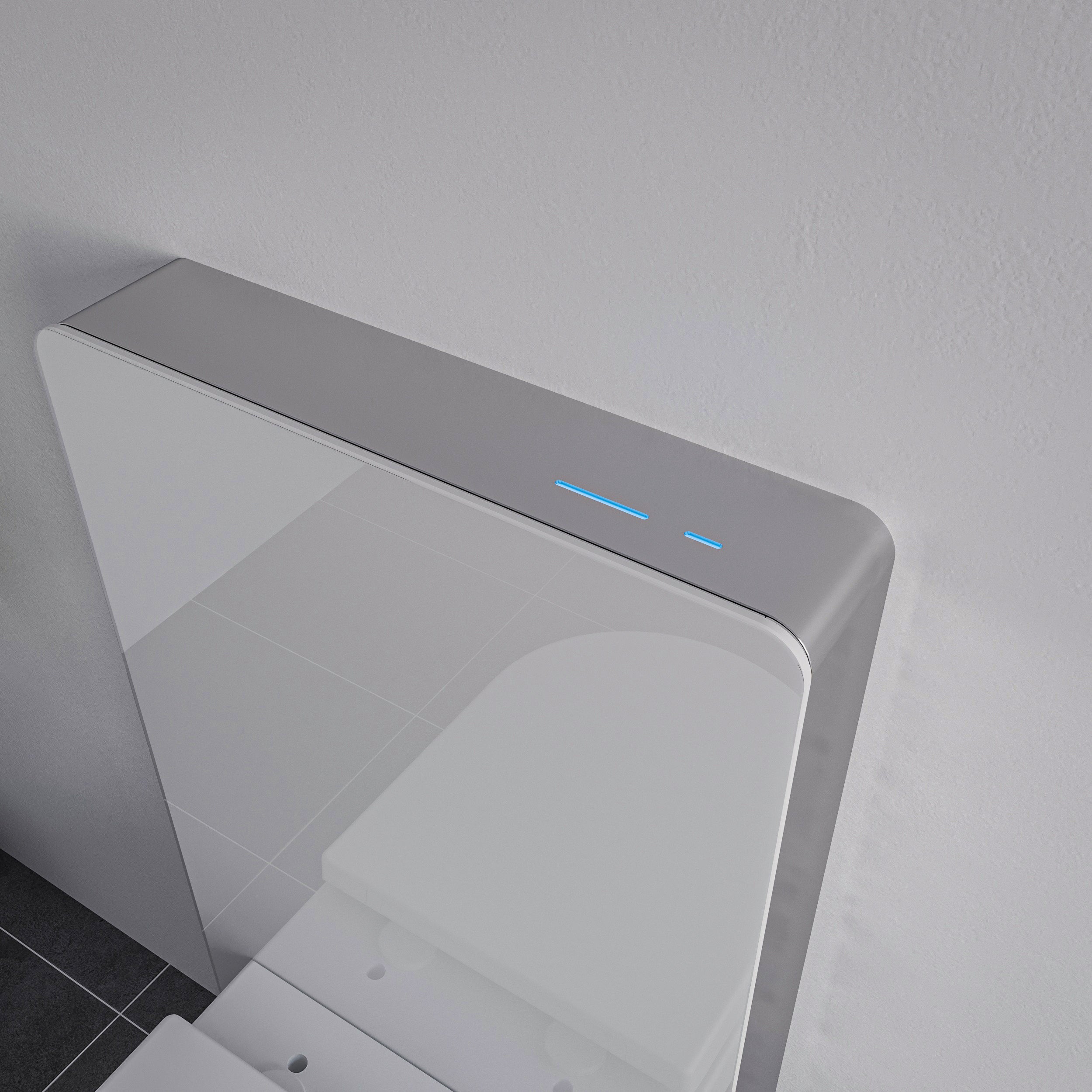 Komplet toiletpakke 37: DUSCH-WC PRO+ 1102