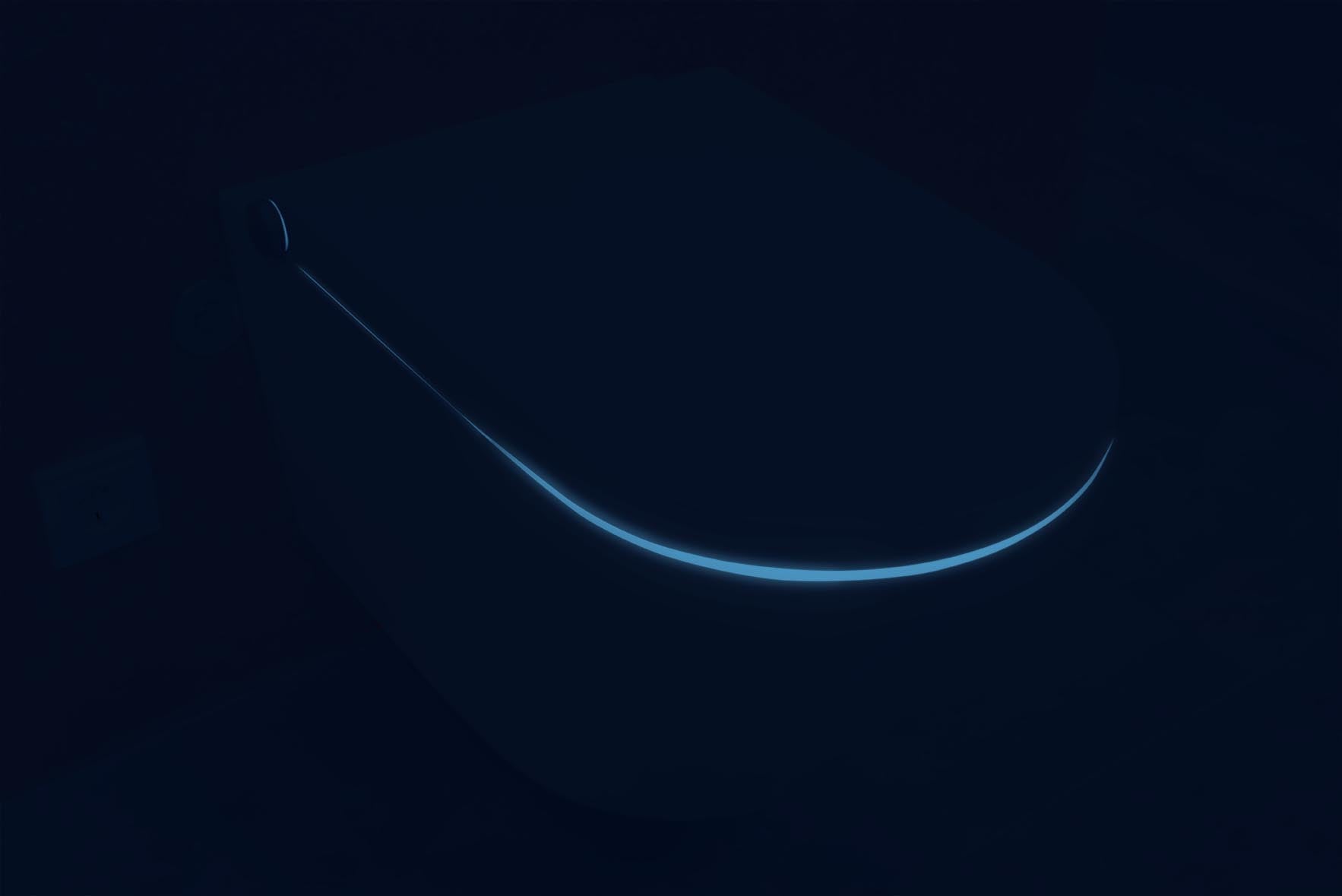 Komplet toiletpakke 26: DUSCH-WC PRO+ 1104