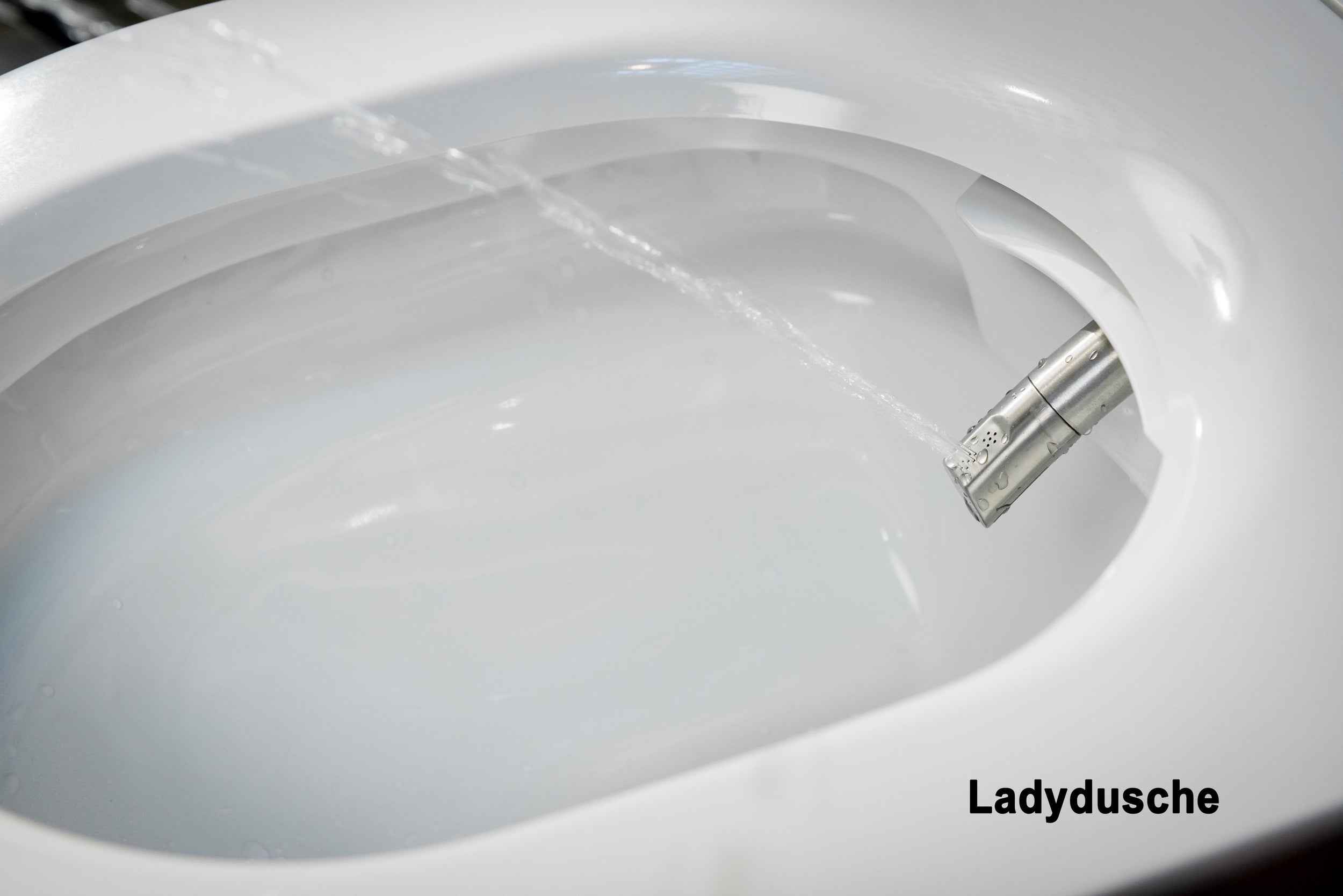 Komplet toiletpakke 37: DUSCH-WC PRO+ 1102