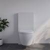 Komplet WC-pakke 41: WC NT2039 Hvid