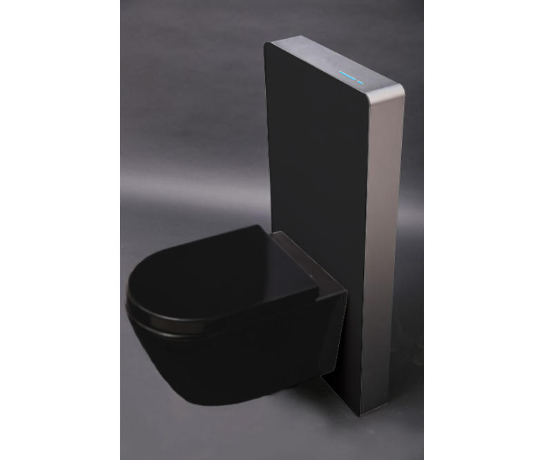 WC komplet pakke 33: WC B-8030R Sort