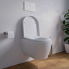 Væghængt toilet Nano NT2038