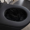 Douchetoilet PREMIUM 1102 Sort Mat

