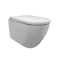 Dusch-WC